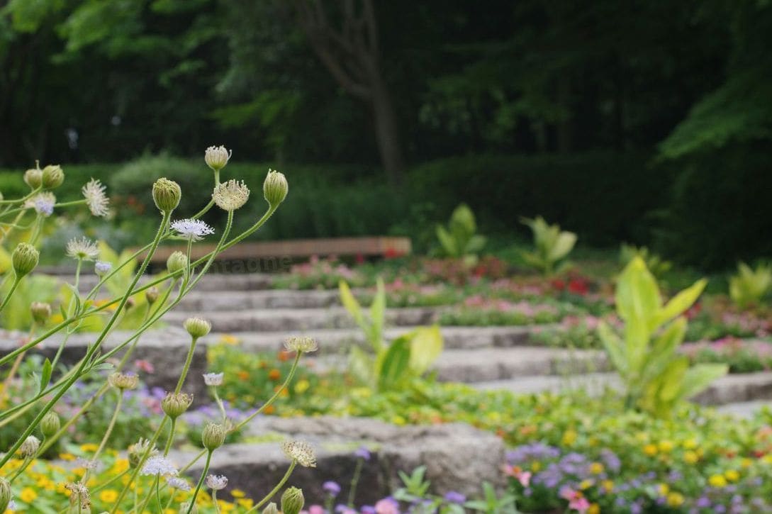 JardinMontagne 9
